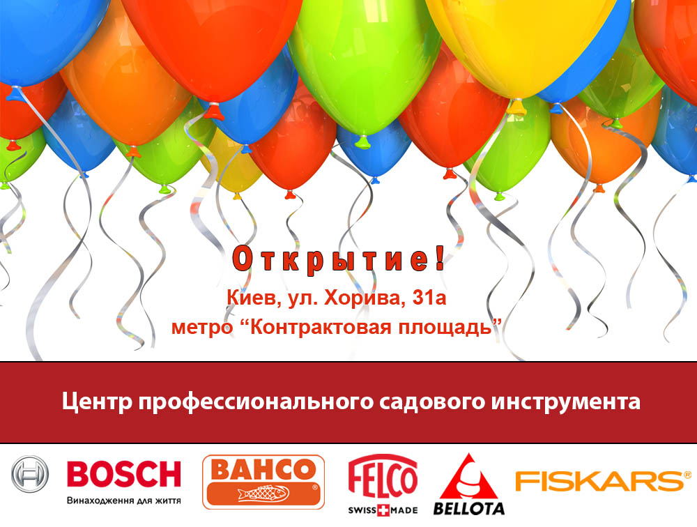 ������������ � ��������� ������ ������