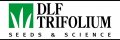DLF Trifolium