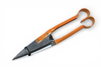 Ножиці для стрижки яливця та самшитів, прямі з подвійною пружиною Due Buoi (162/32)