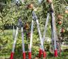 Сучкоріз FELCO 221-80 (Felco221-80) фото 5