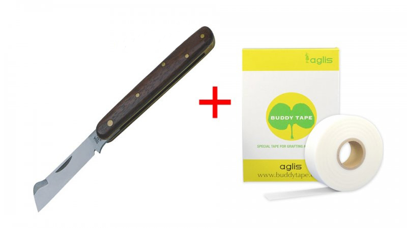 Прививочный нож TINA 640/10 (Германия) + Прививочная лента Buddy Tape BT60-40 